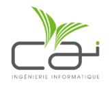 Logo Conseil Assistance en Informatique